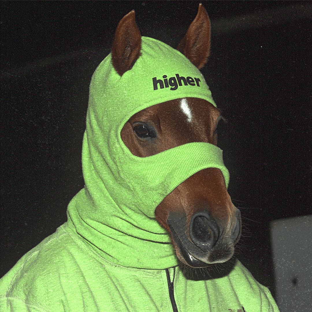 horsefacts.eth