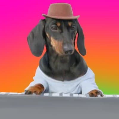 synthesizerdog token image