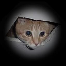 CeilingCat token image