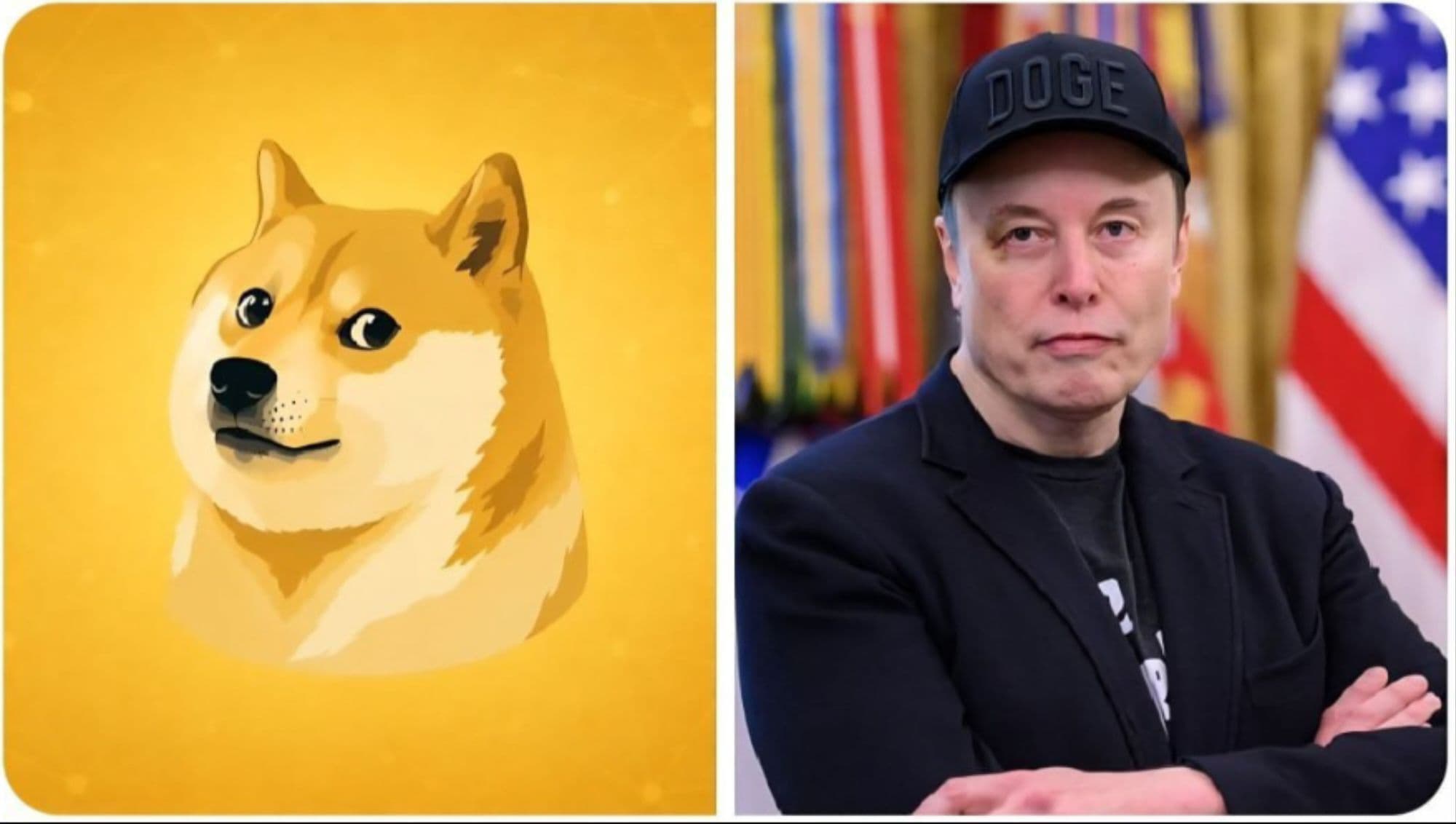 DogeOs token image