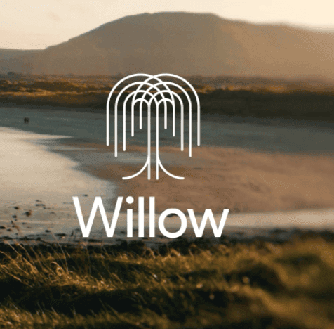 Willow: Google still got it token image