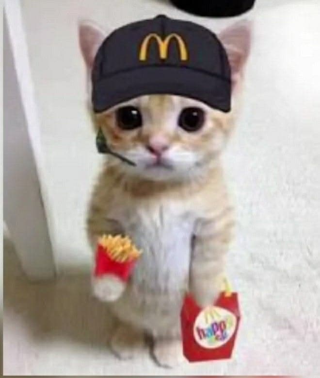 meowdonald token image