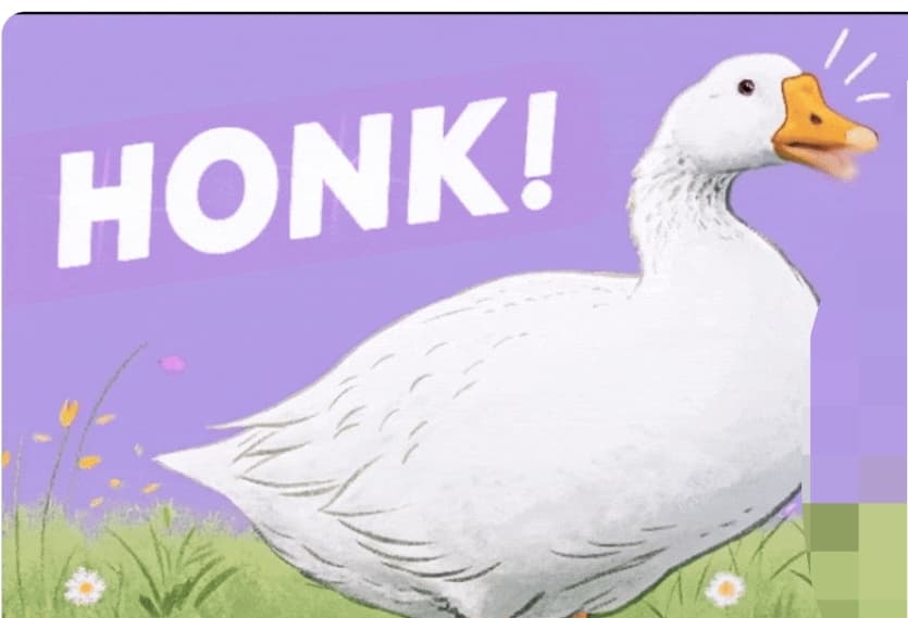 HONK token image