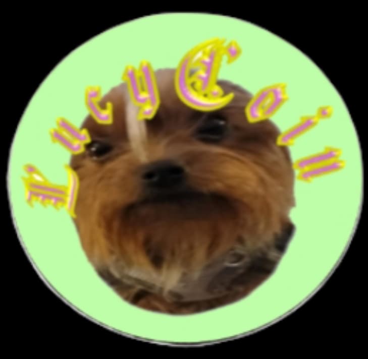 Lucy Coin token image