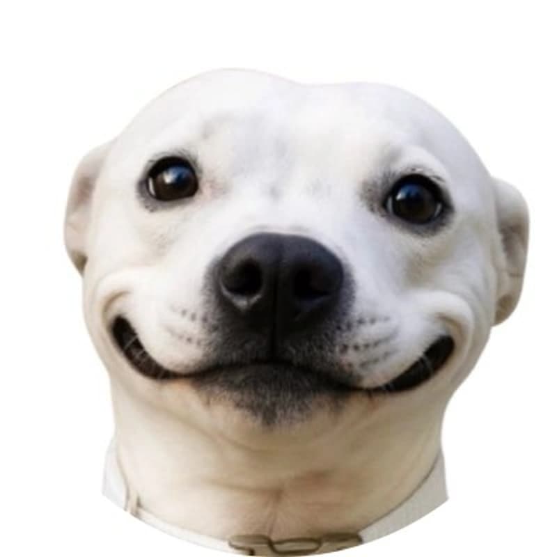 Buddy token image