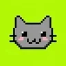 CAT Coin token image