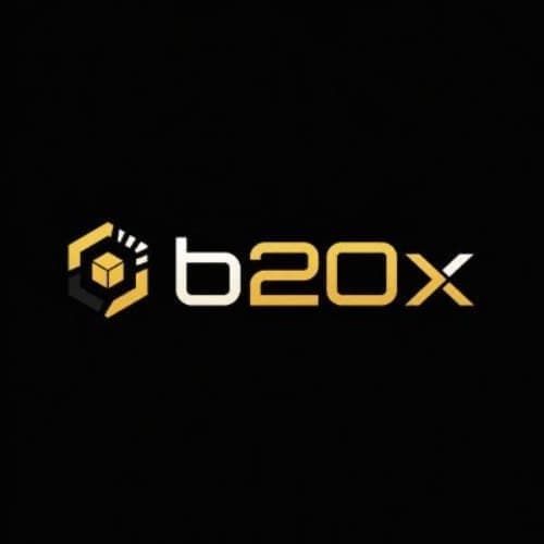 B20X token image