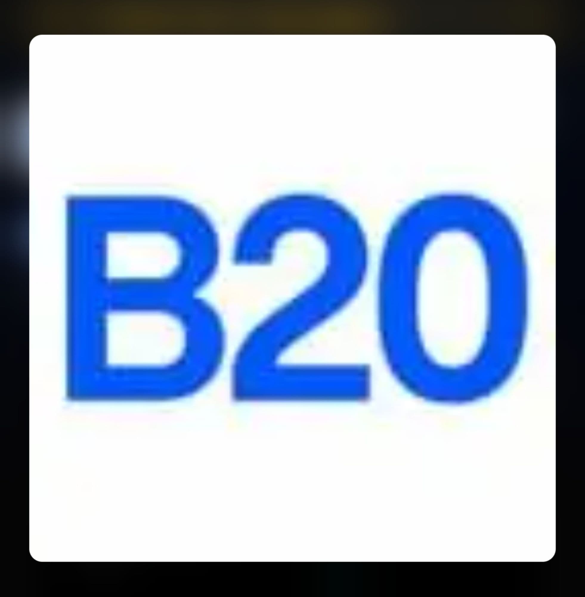 B20-S token image