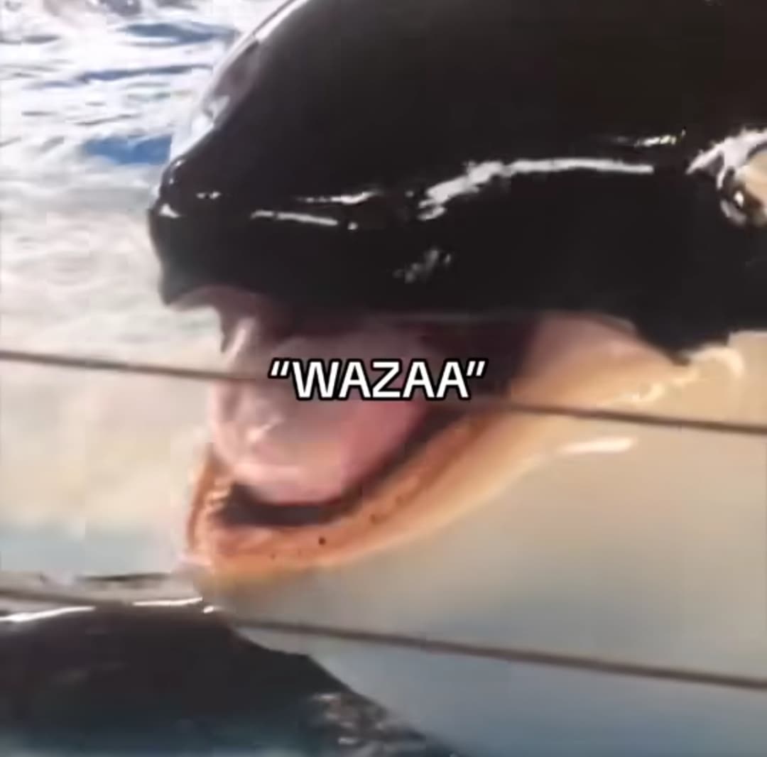 WAZAA👅 token image