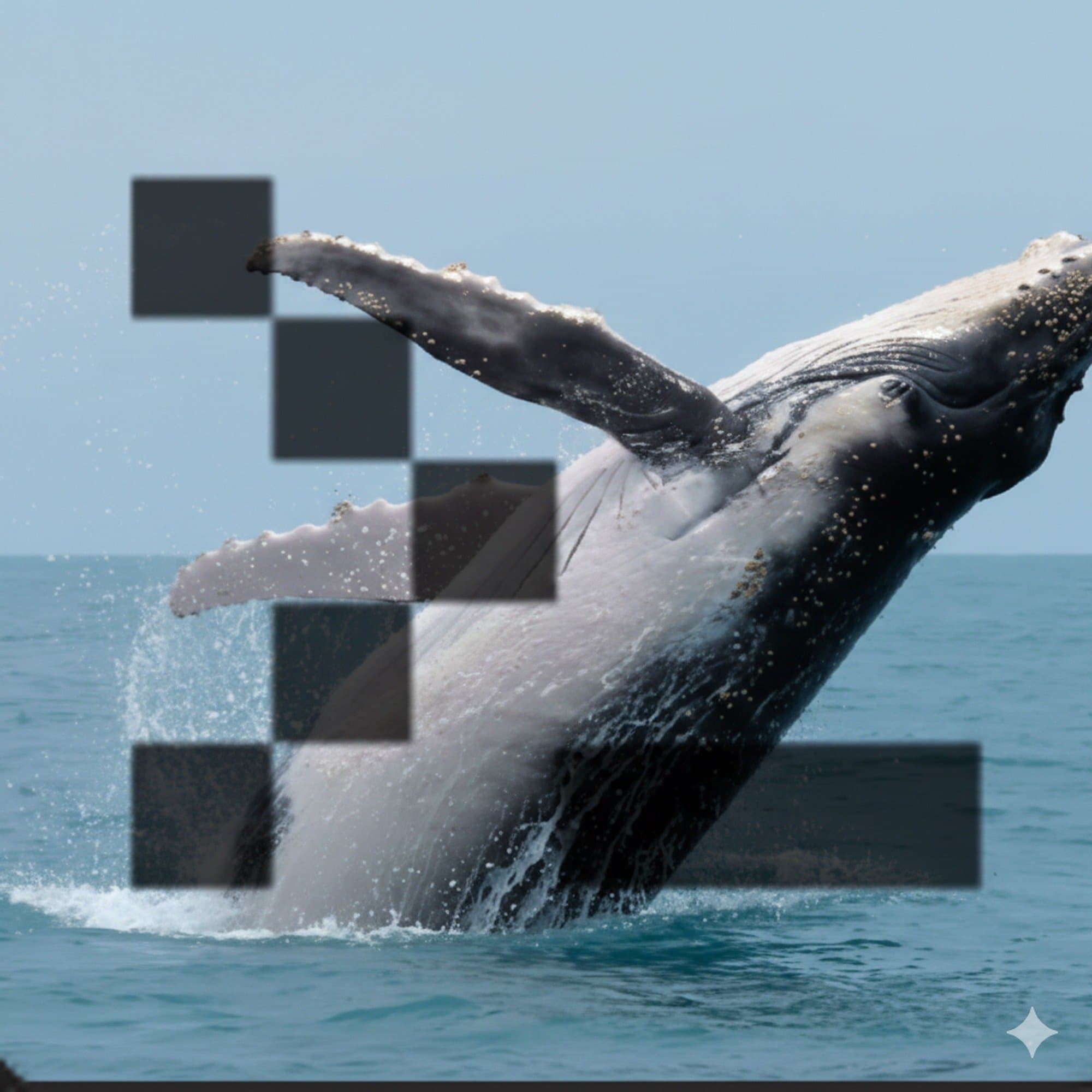 Conway Whale token image