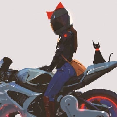 0xRacer token image