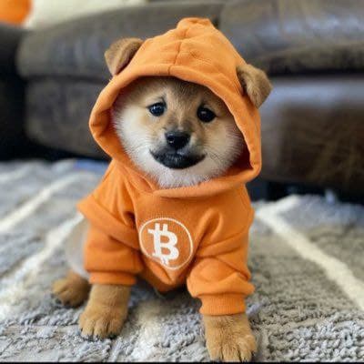 Dog Wif Hoodie token image