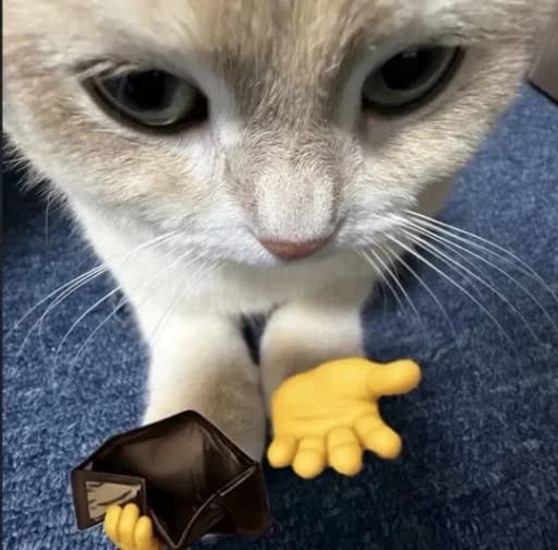 the nugget token image