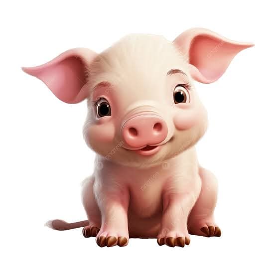 Jhon Pork token image