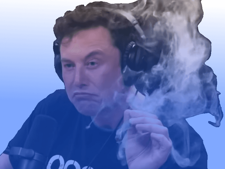 BASE ELON token image