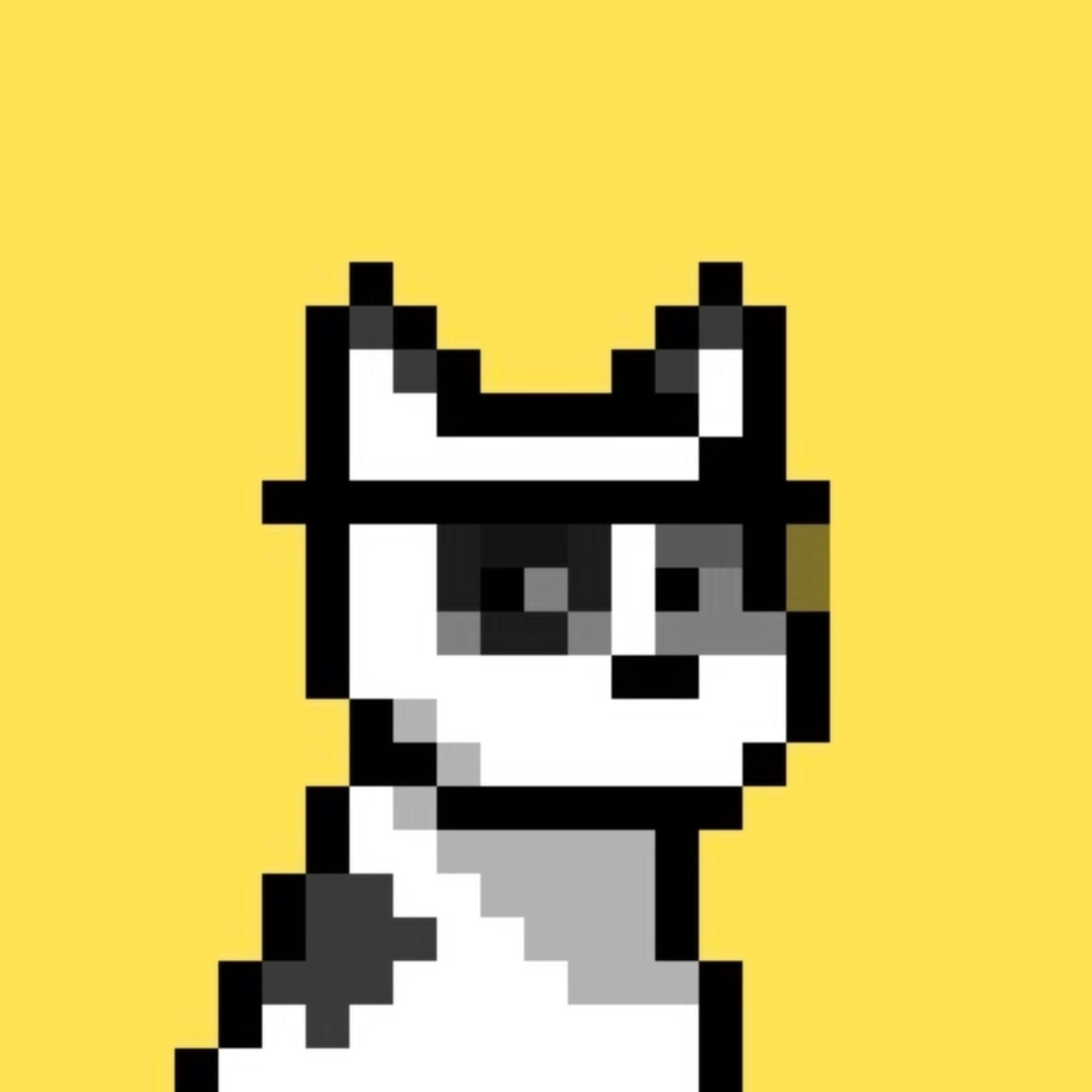 cattie token image