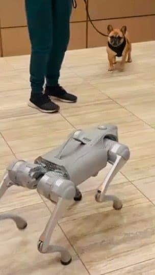 Robodog token image