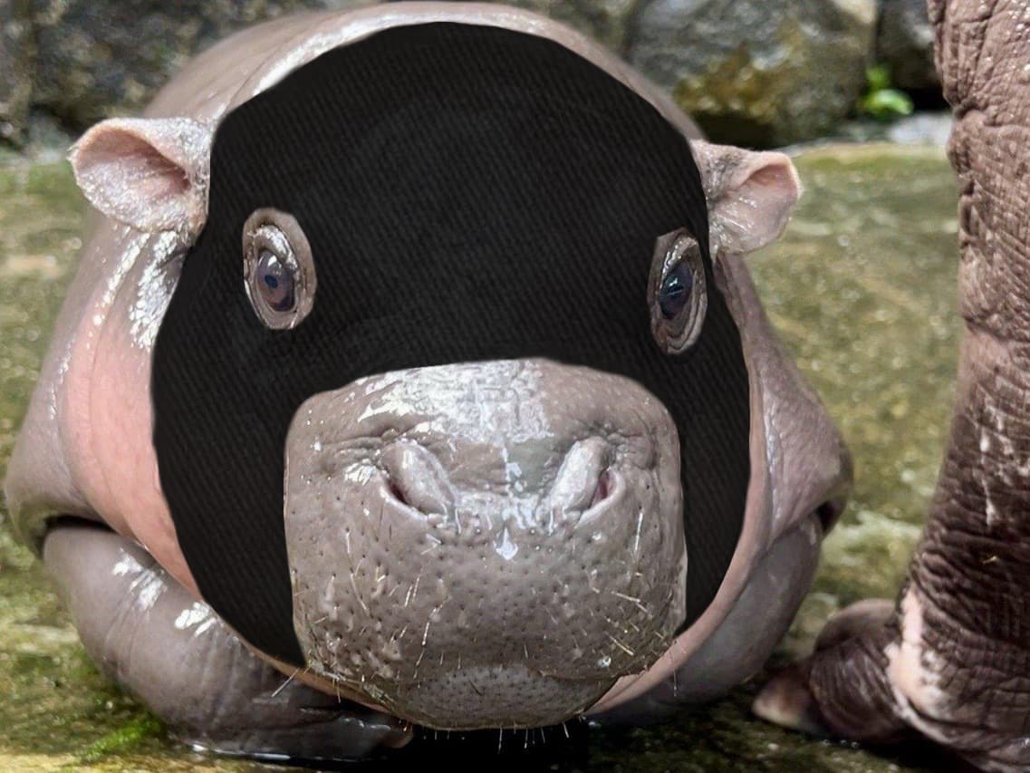 Ski Mask Moo Deng token image