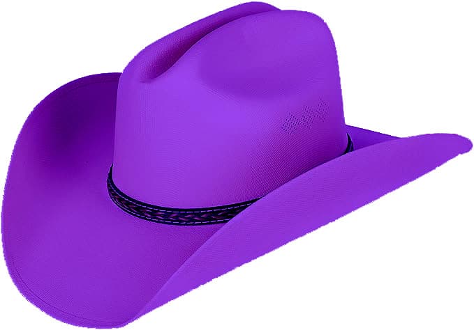 Purple Outlaw token image