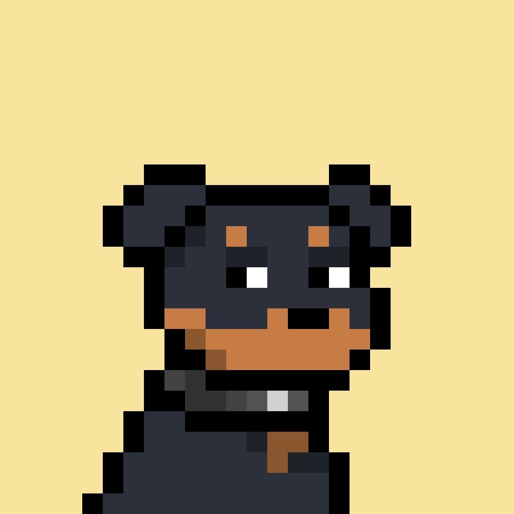 BASEDBACKY token image