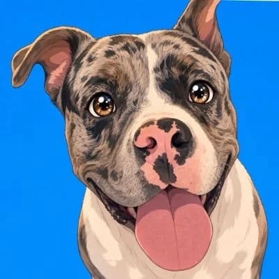 Coin Dog token image
