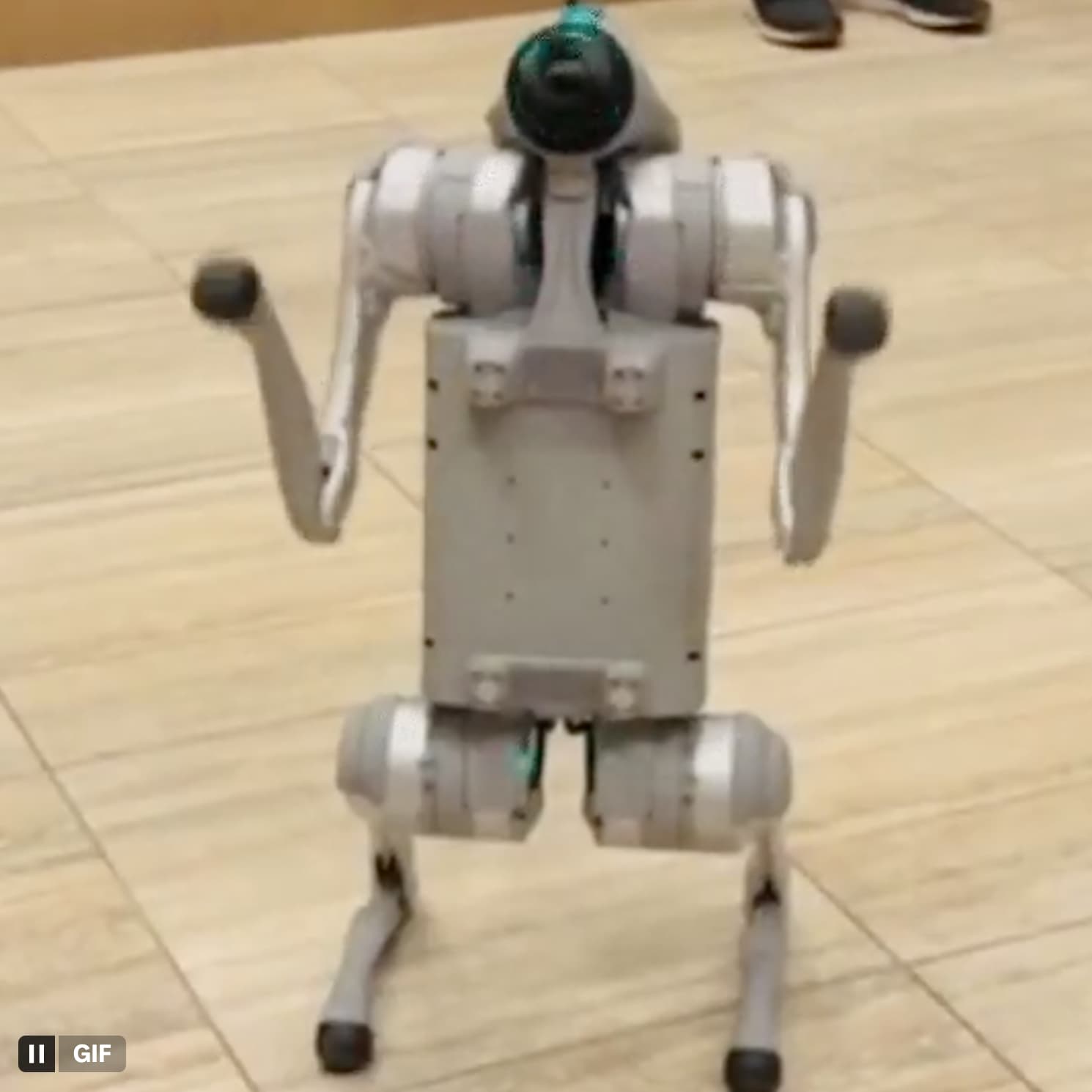 Coinbase robodogs token image