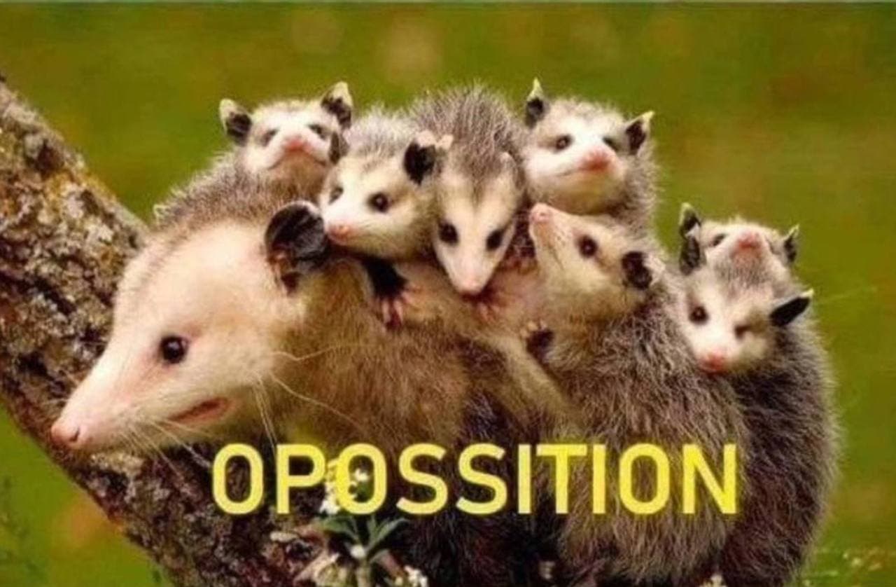 OPOSSITION token image