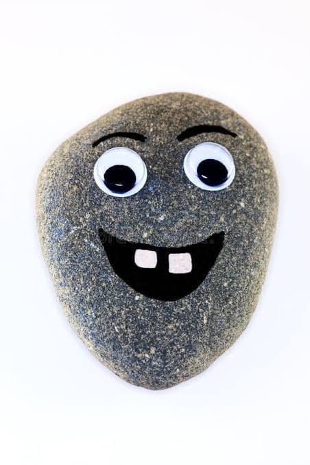Pet rock token image