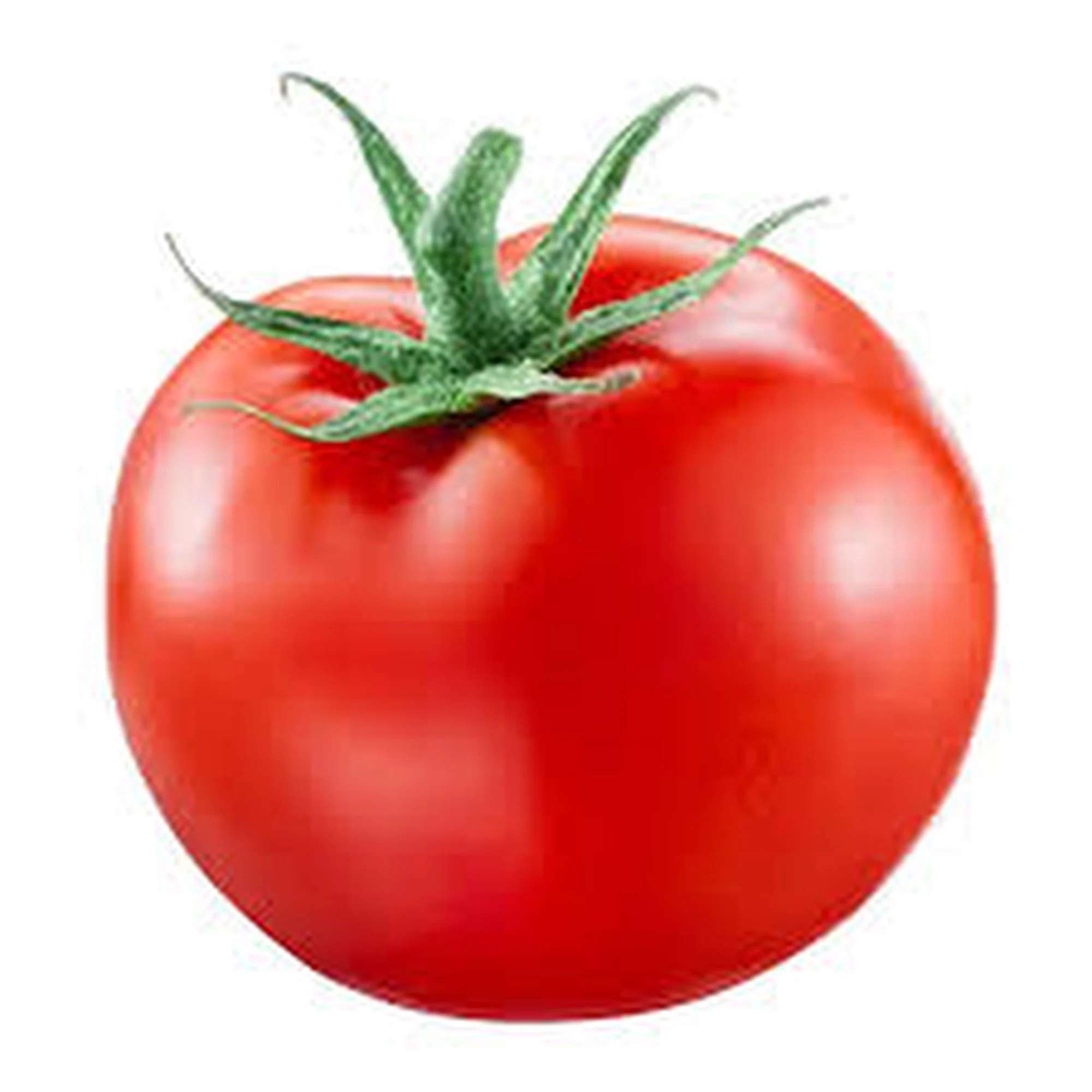 tomatr token image