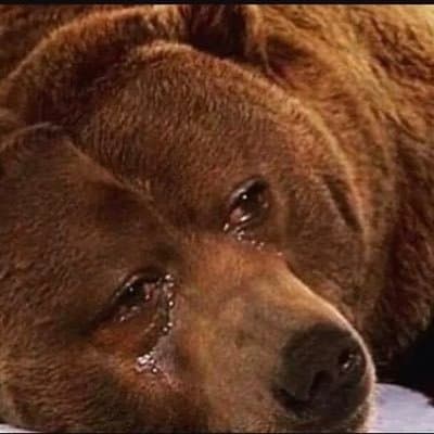 the ducking token image