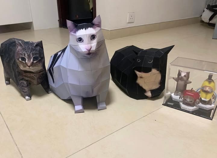 Speed Wallet token image