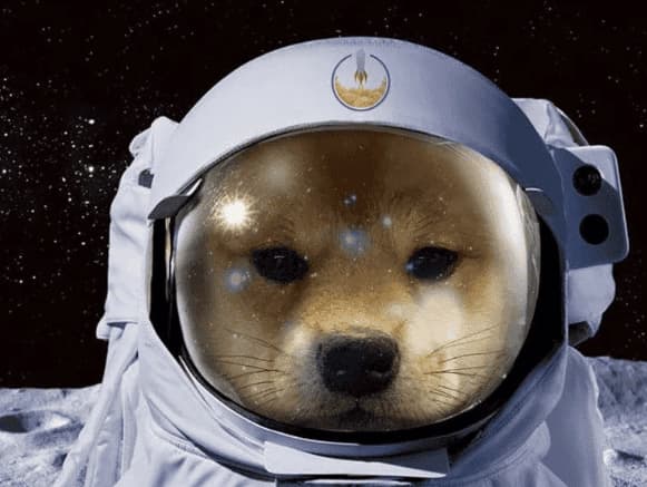 Dog in Space token image