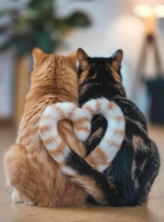 LunarBankGrokCoin token image