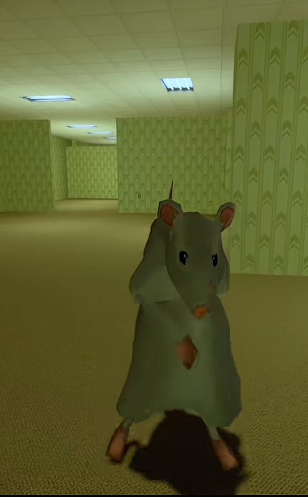 rat dance token image