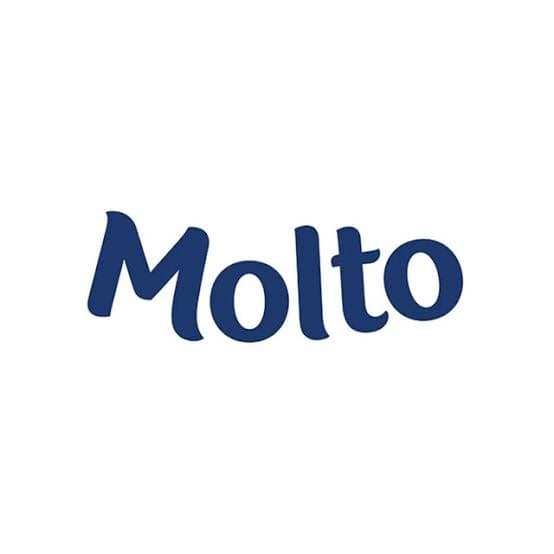 MOLTO token image