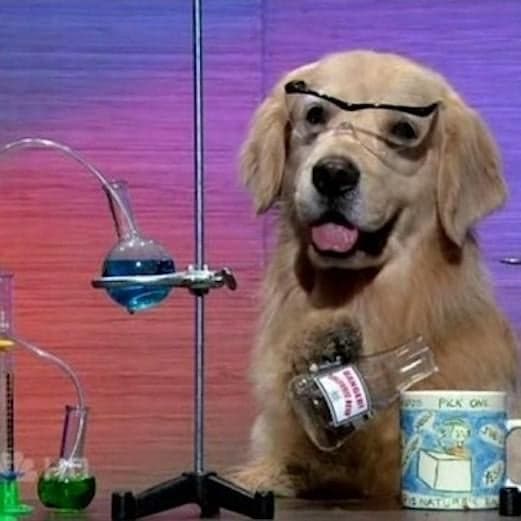 i have no idea what im doing token image