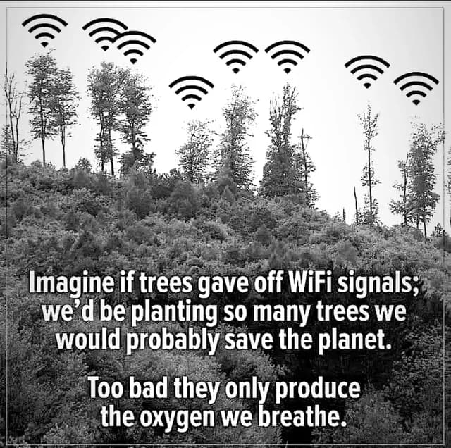 Pocket Sized WiFi Trees token image