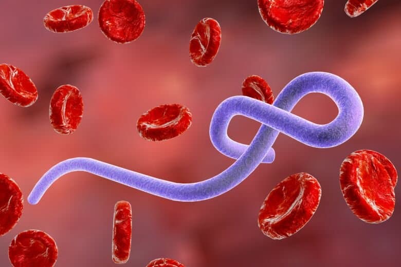 EBOLA token image