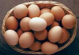 Whadaegg token image
