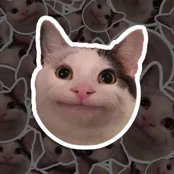 Based cat token image