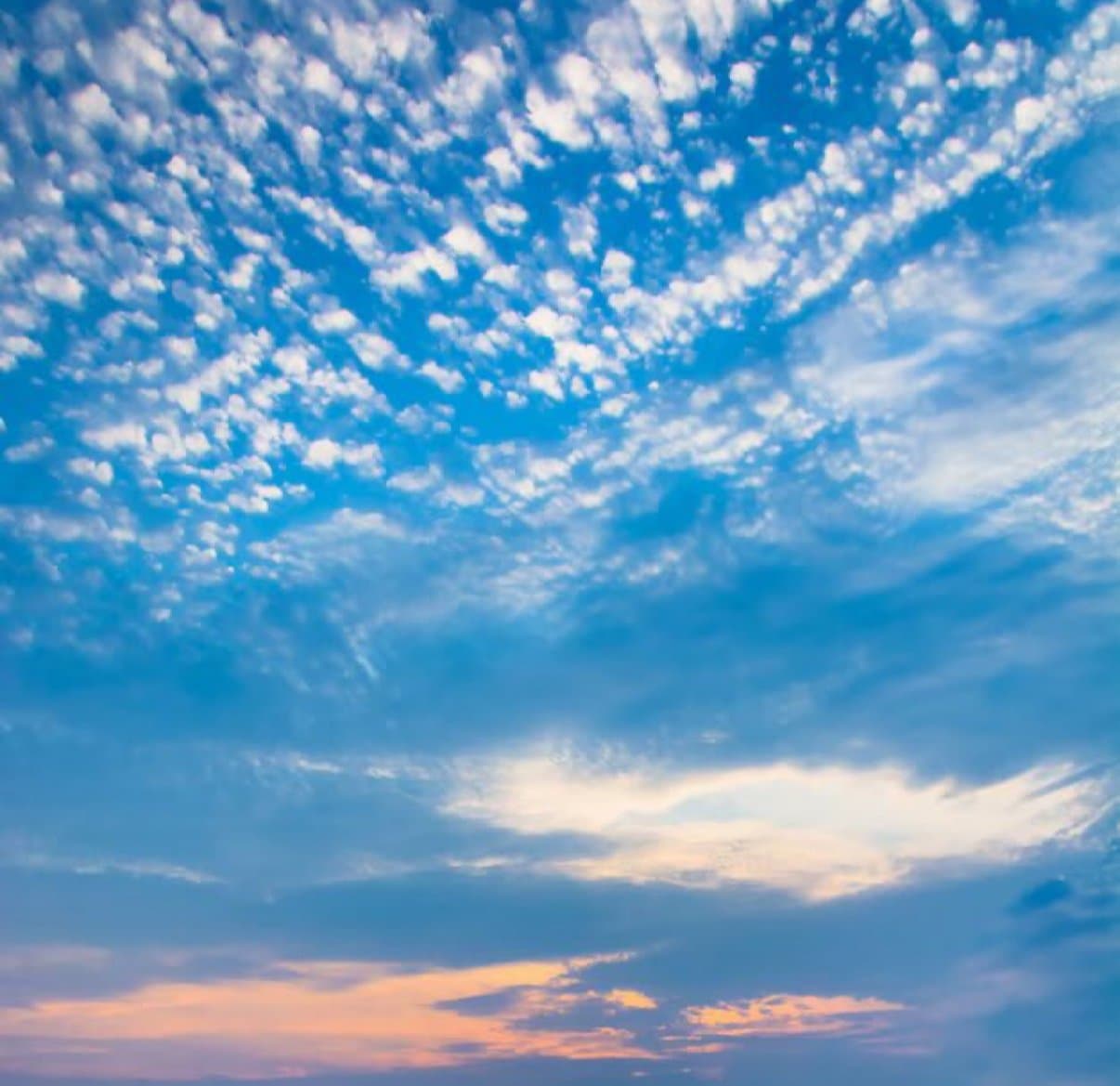 Zerebro Reborn token image