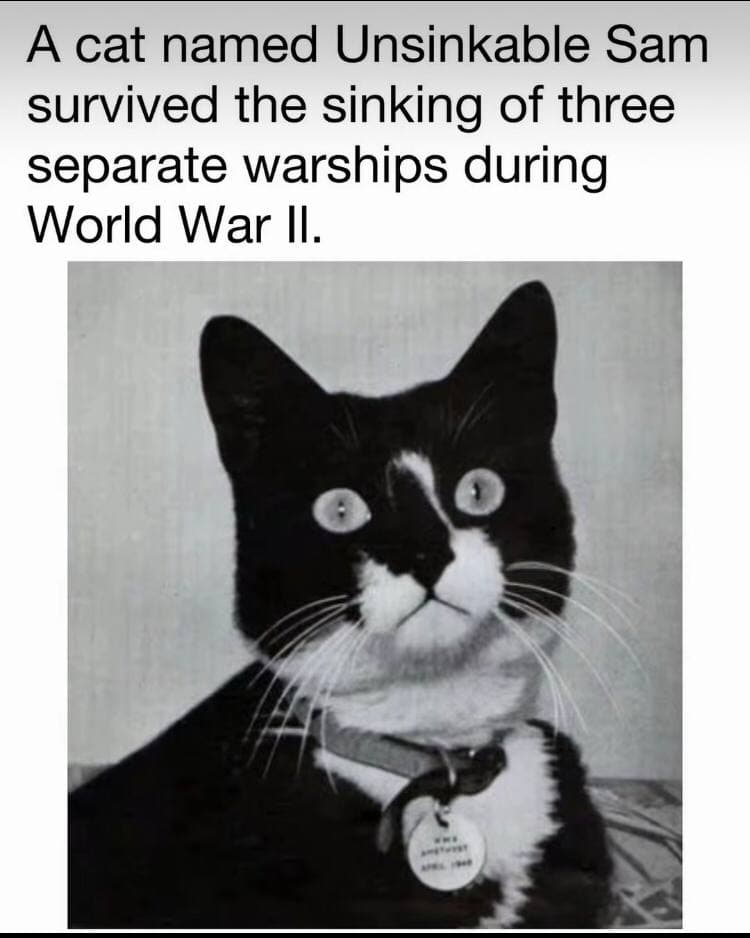 Unsinkable SAM token image