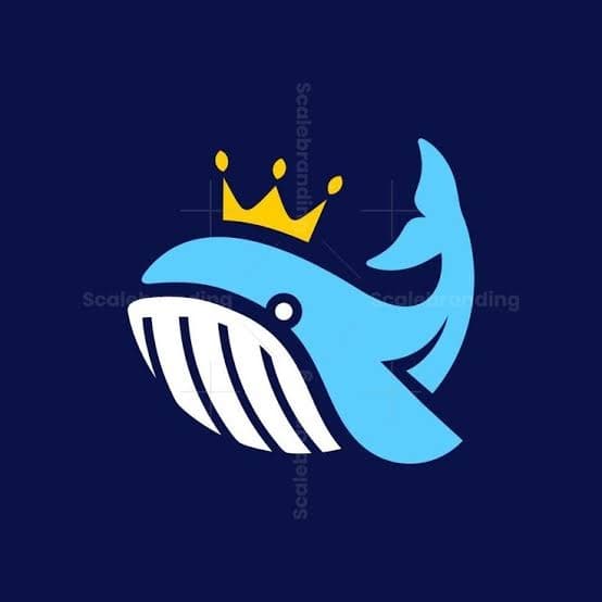 DUDE DEEP KING token image