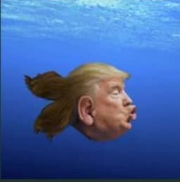 Fish American token image