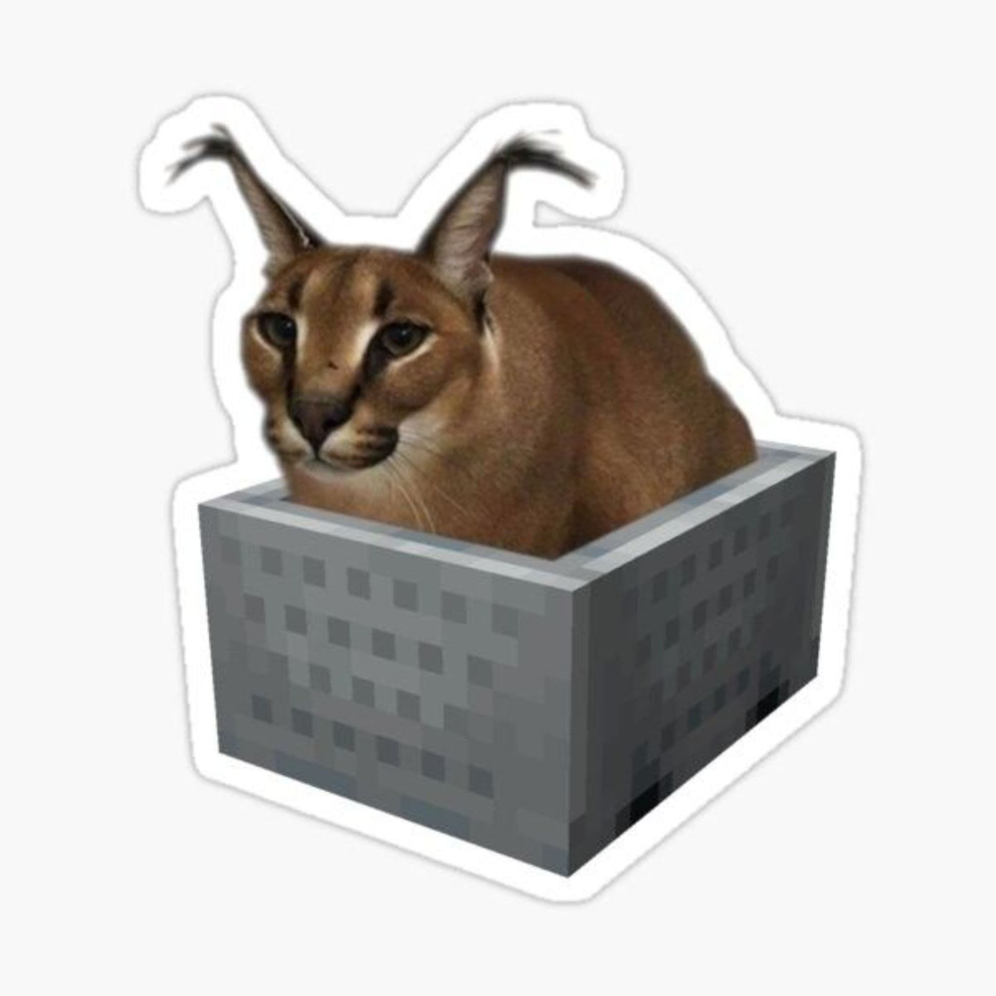 flopa cart token image