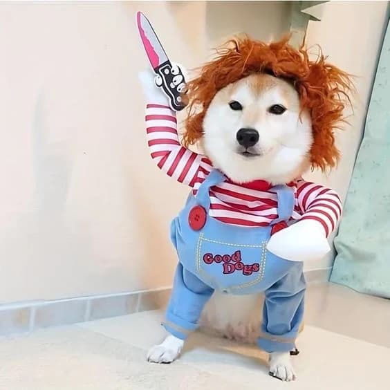 Doll Pet Dog token image