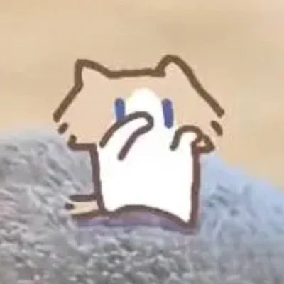 Salary Cat token image