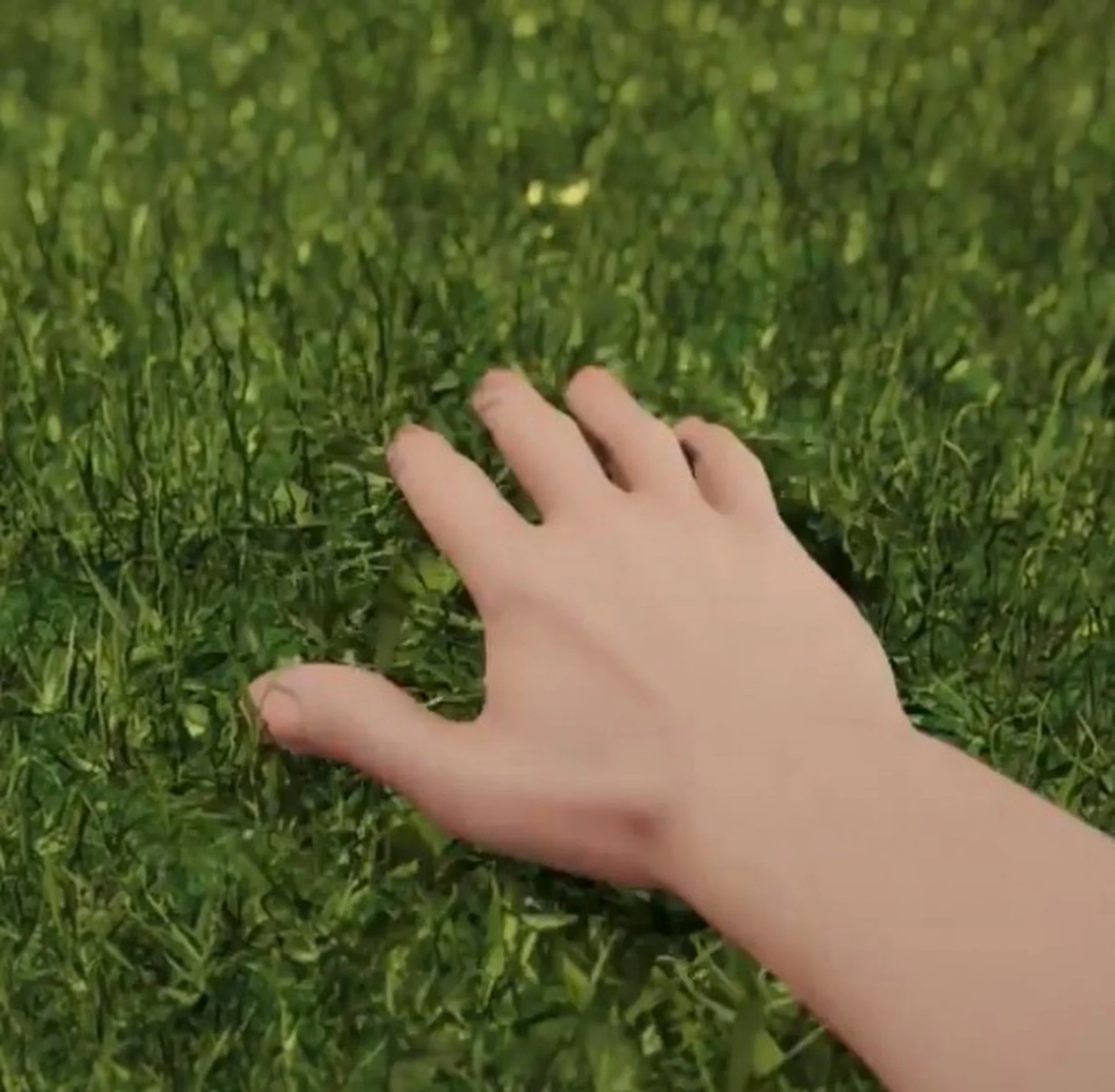 Touch Grass token image