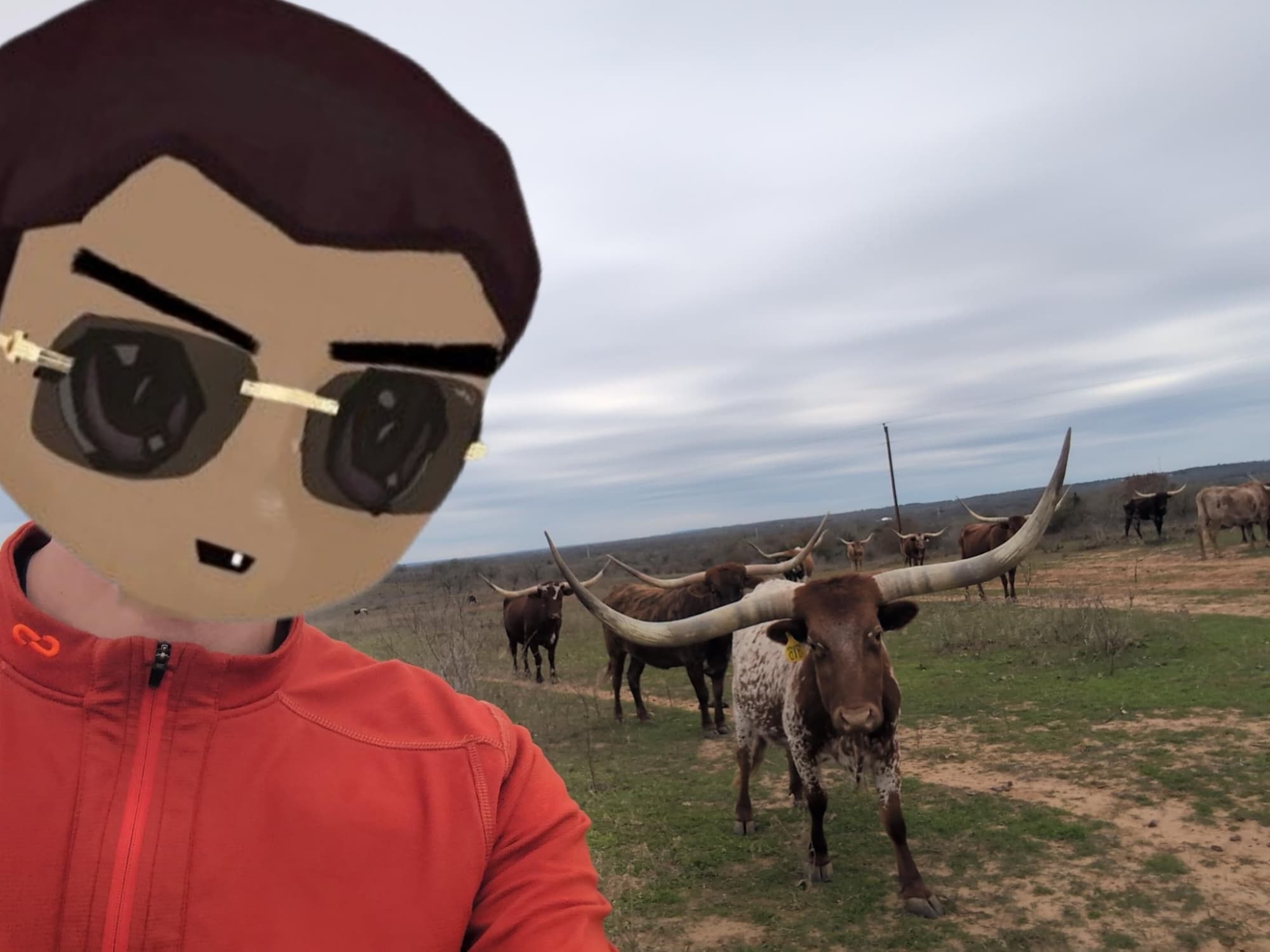 bullETHNESS token image