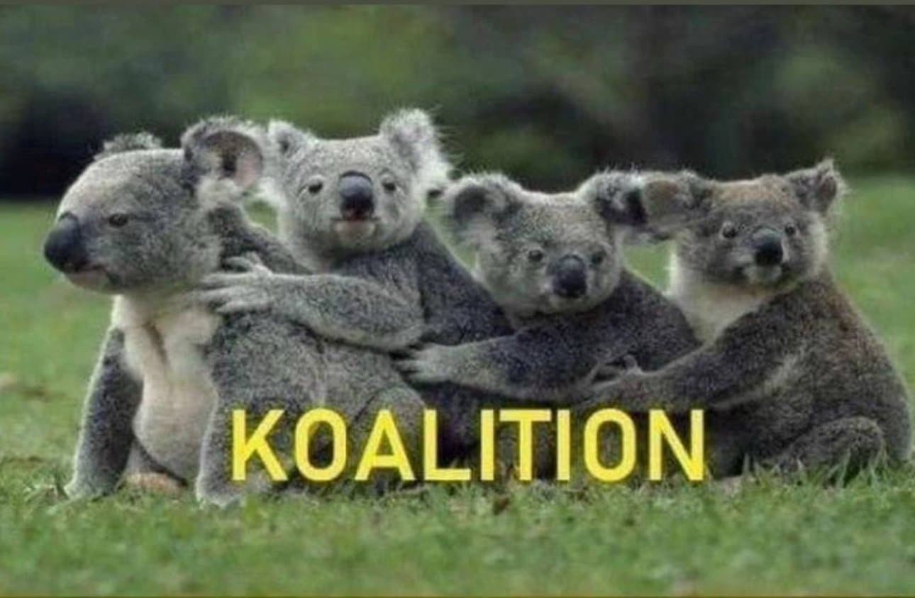 KOALITION token image